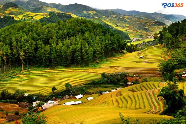 Mai Châu (Hòa Bình) - Nét đẹp của thung lũng lúa