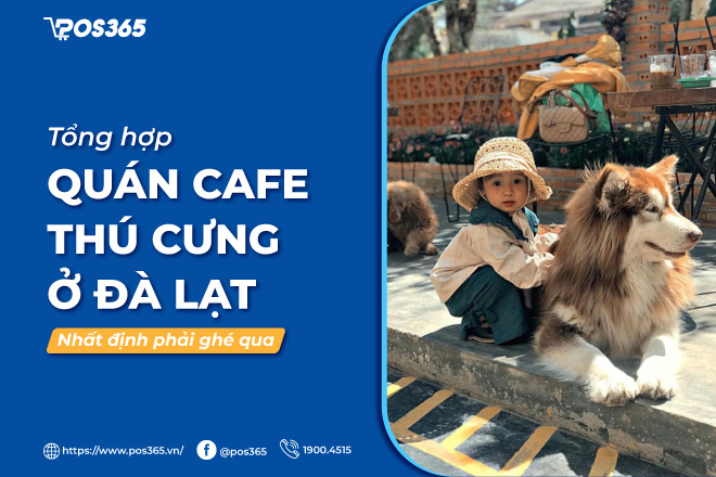 TOP 9 quán cafe thú cưng ở Đà Lạt nhất định phải ghé qua