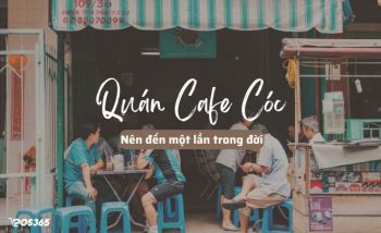 Những quán Cafe Cóc đẹp mà bạn nên tới một lần trong đời