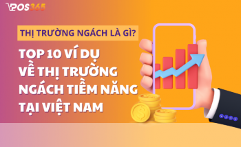 Thị trường ngách là gì? 10 ví dụ về thị trường ngách tiềm năng