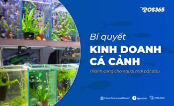 Bí quyết kinh doanh cá cảnh thành công cho người mới bắt đầu