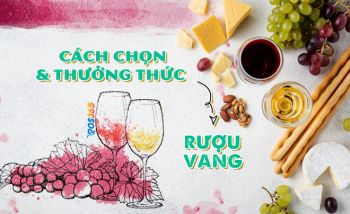 Cách chọn và thưởng thức rượu vang đúng chuẩn